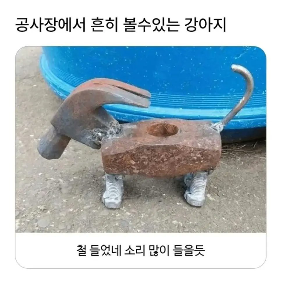 철든 강아지