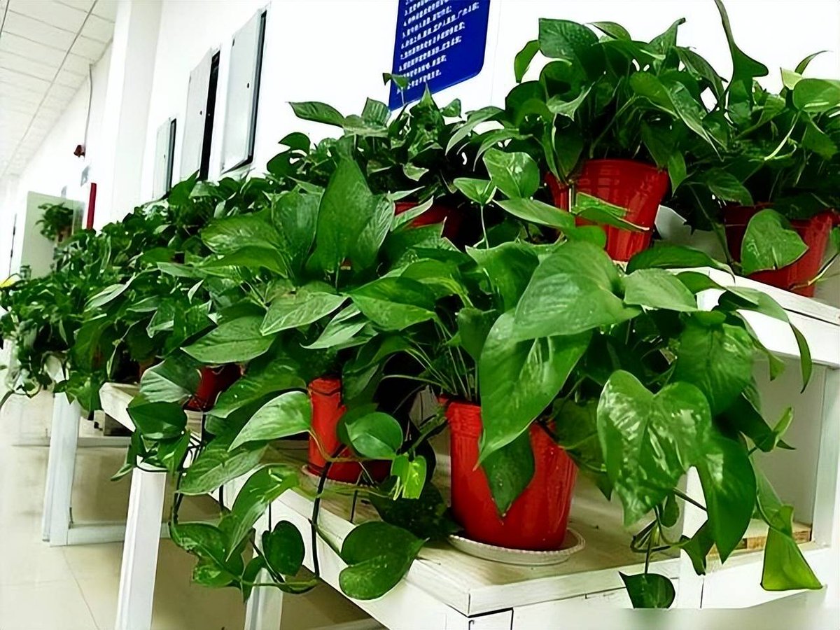 هشام ابو مهدي tweet media