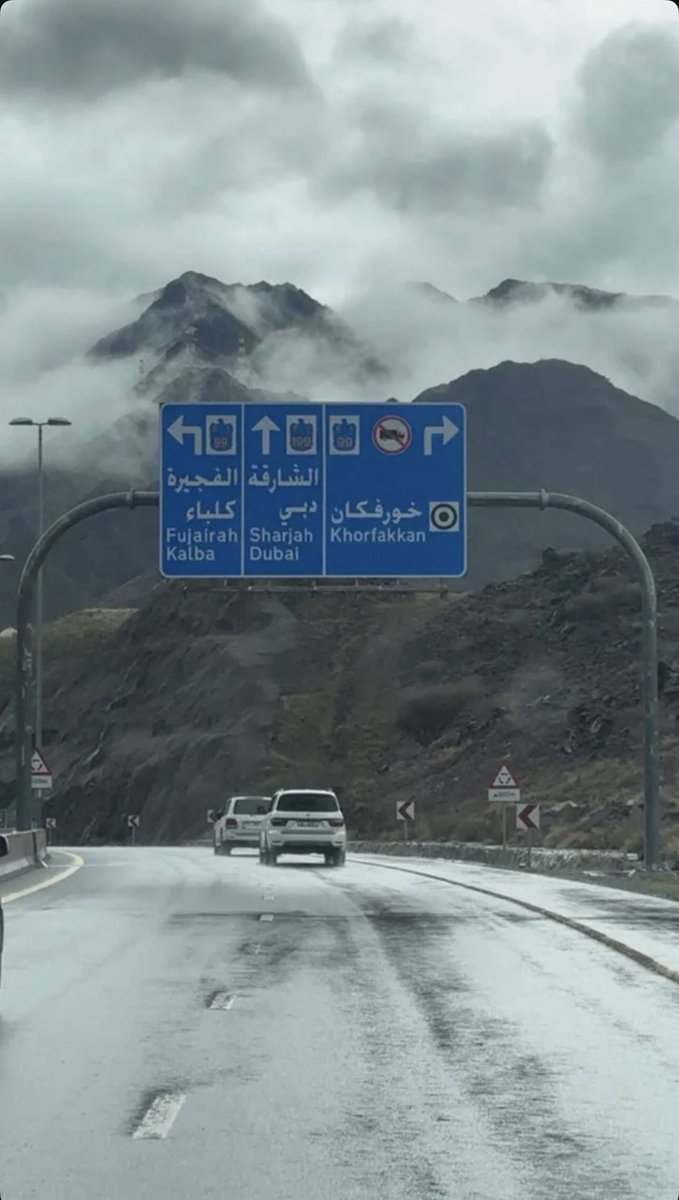 مريم الحمادي tweet media