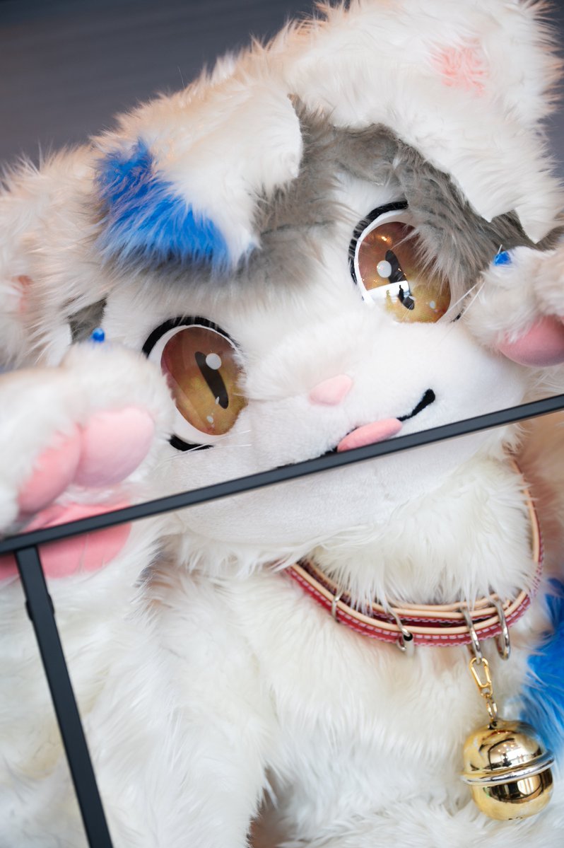 mofmoon🐈🐾 tweet media