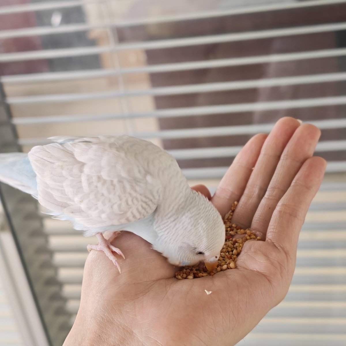 不必在意 tweet media