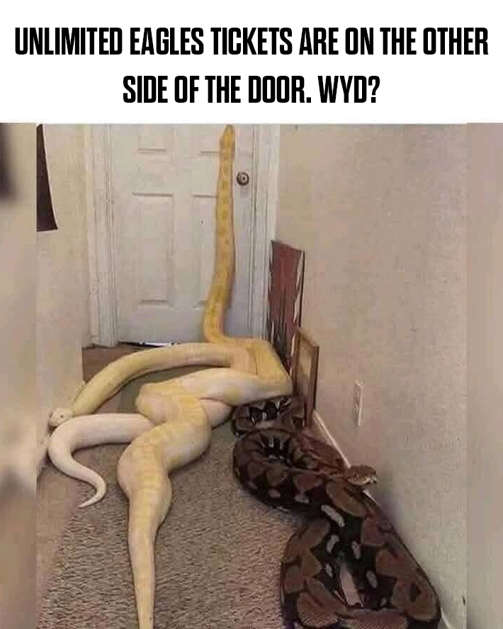 Philadelphia Eagles tweet media