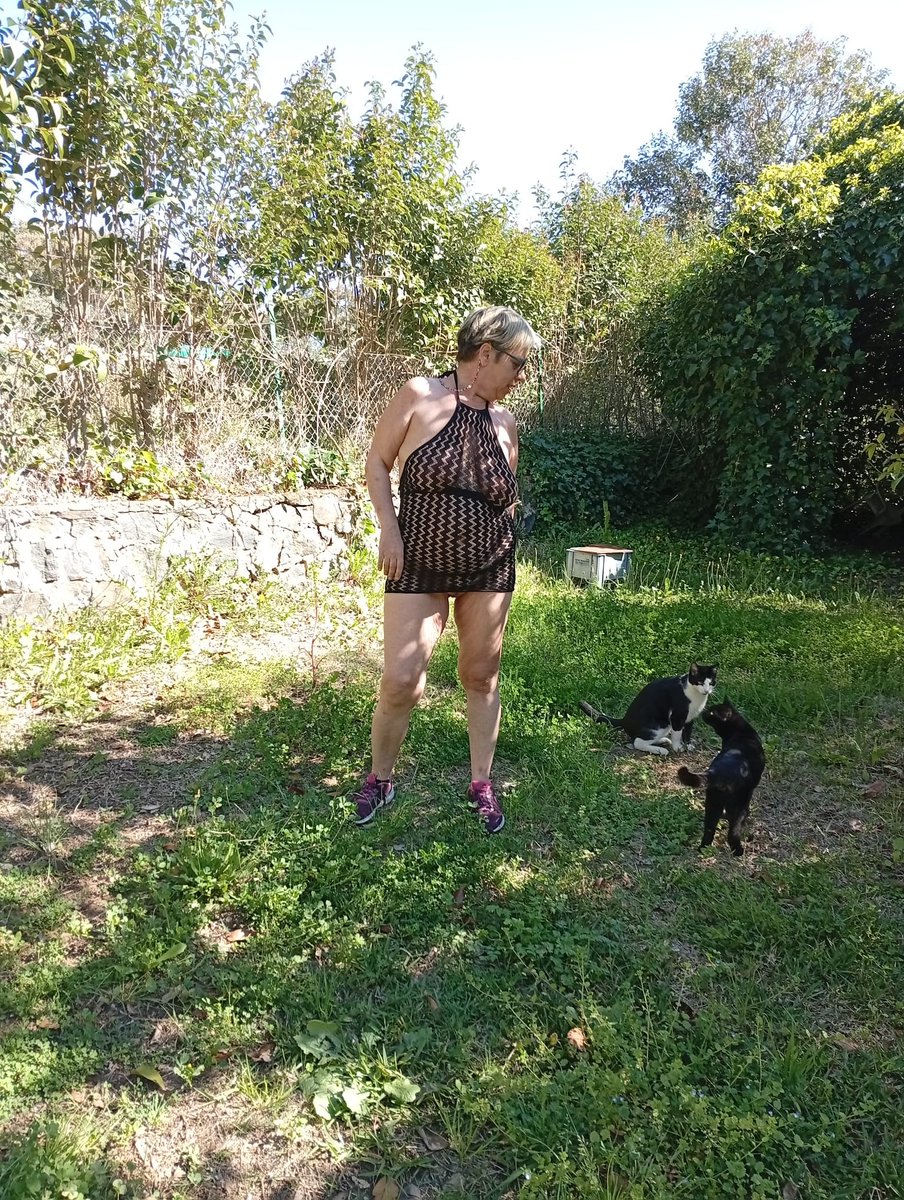 DomEmputecedor tweet media