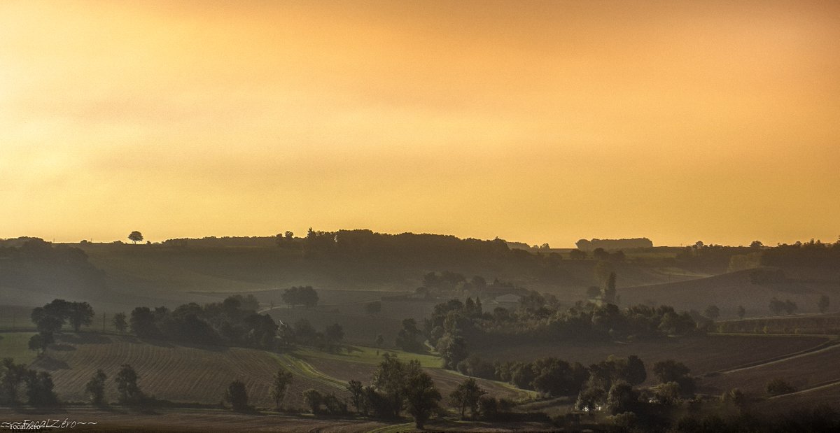 FocalZero tweet media