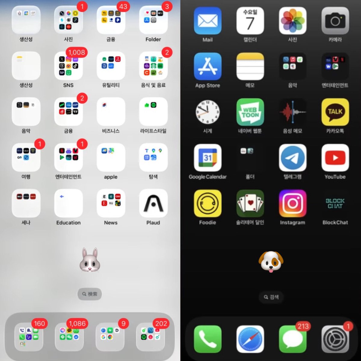 ❇️⁶⁵ tweet media