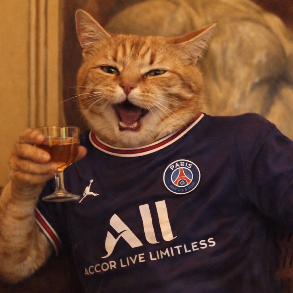 Le wizzcat tweet media