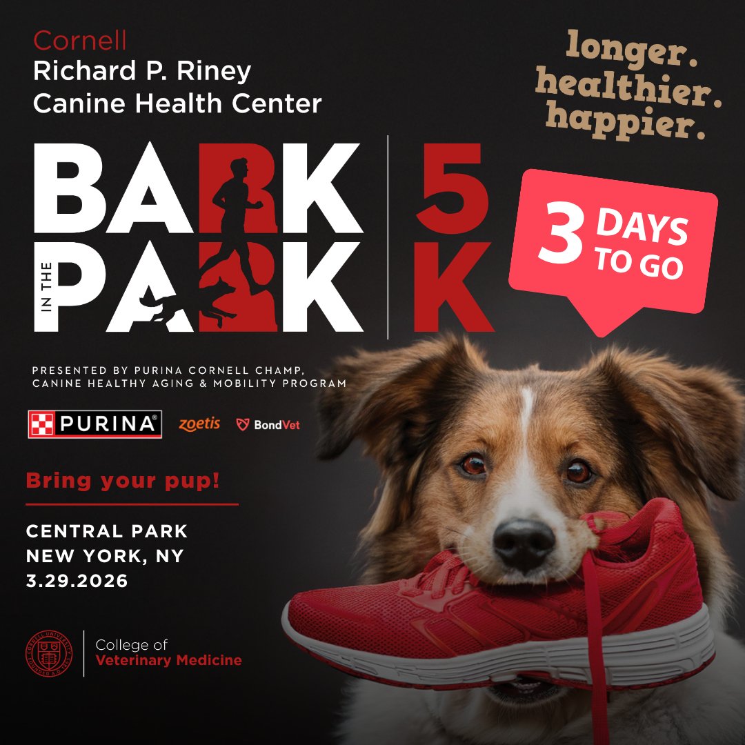 Cornell Riney Canine Health Center tweet media