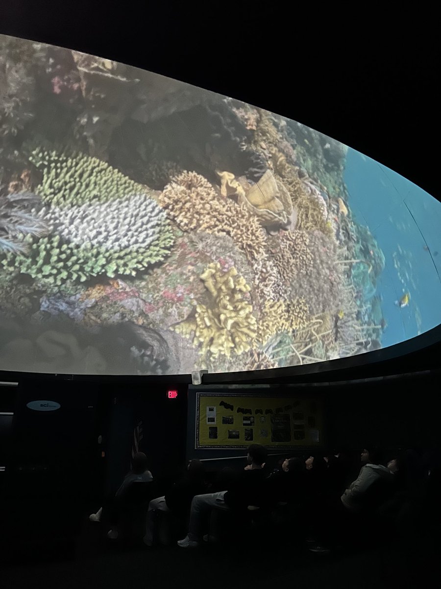 Madison MS tweet media