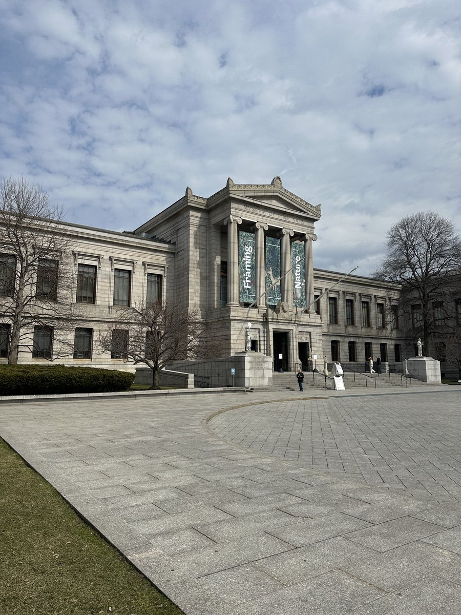 Stephanie Cohen, MD tweet media