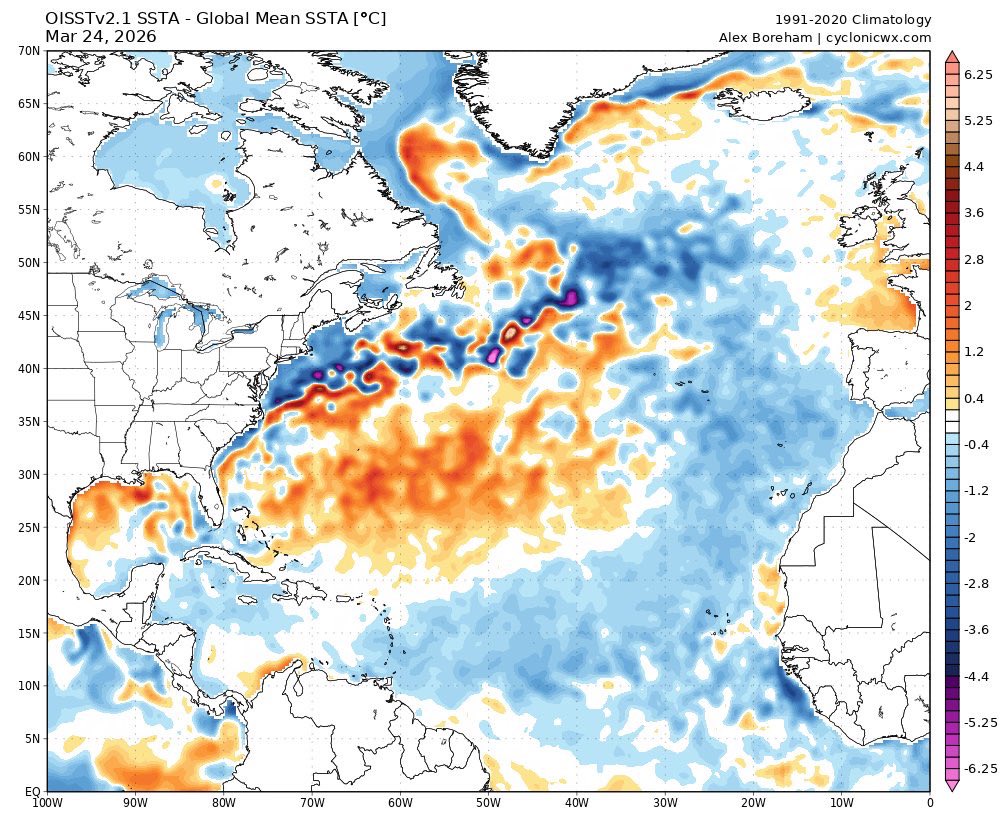 Andrew Austin-Adler tweet media