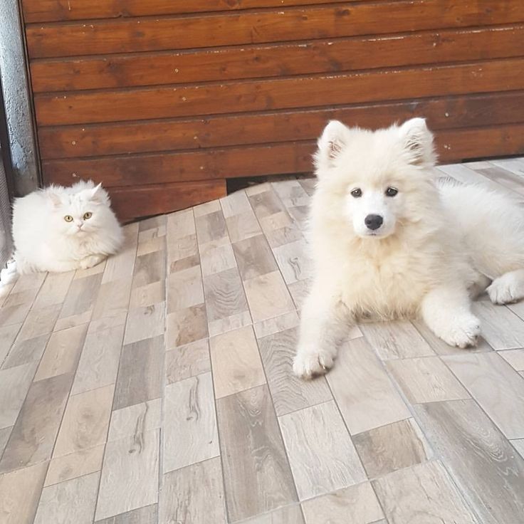 𝒘𝑬ᴶᴺᴶᴹ tweet media