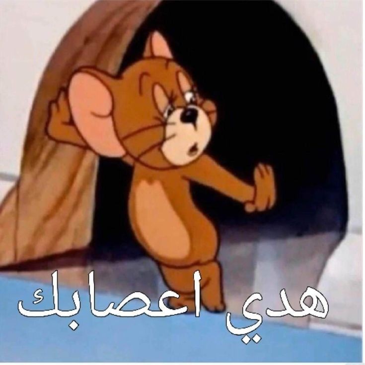 زهره^_^☕︎𝄞 tweet media