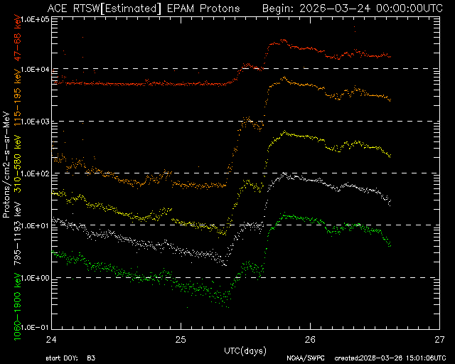☀️ Sara Housseal ☀️ tweet media