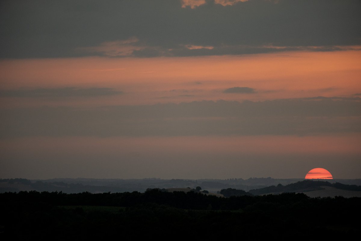 FocalZero tweet media