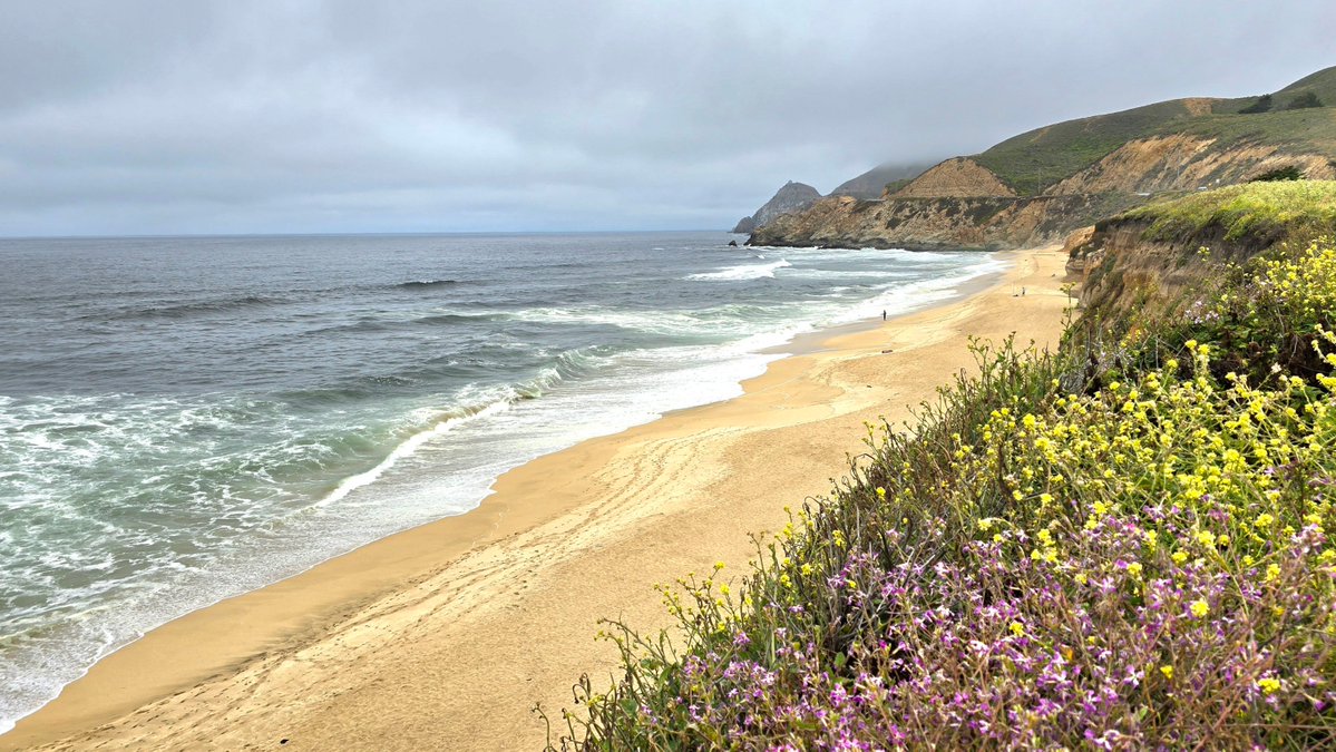 leandro ramos ferraz tweet media