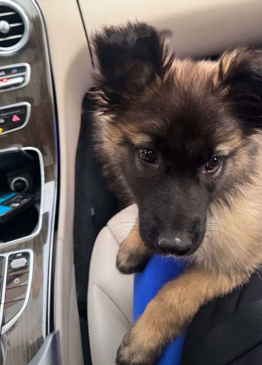 Yasmina Kibbe tweet media