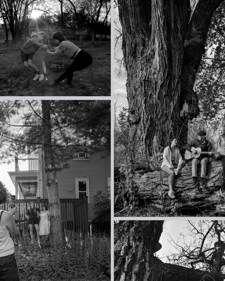 Tree Trust tweet media