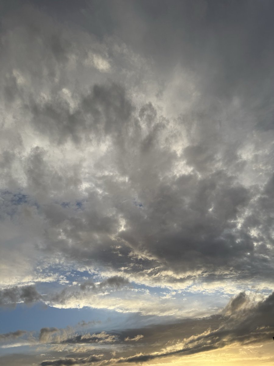 Samiah Alshamrani tweet media