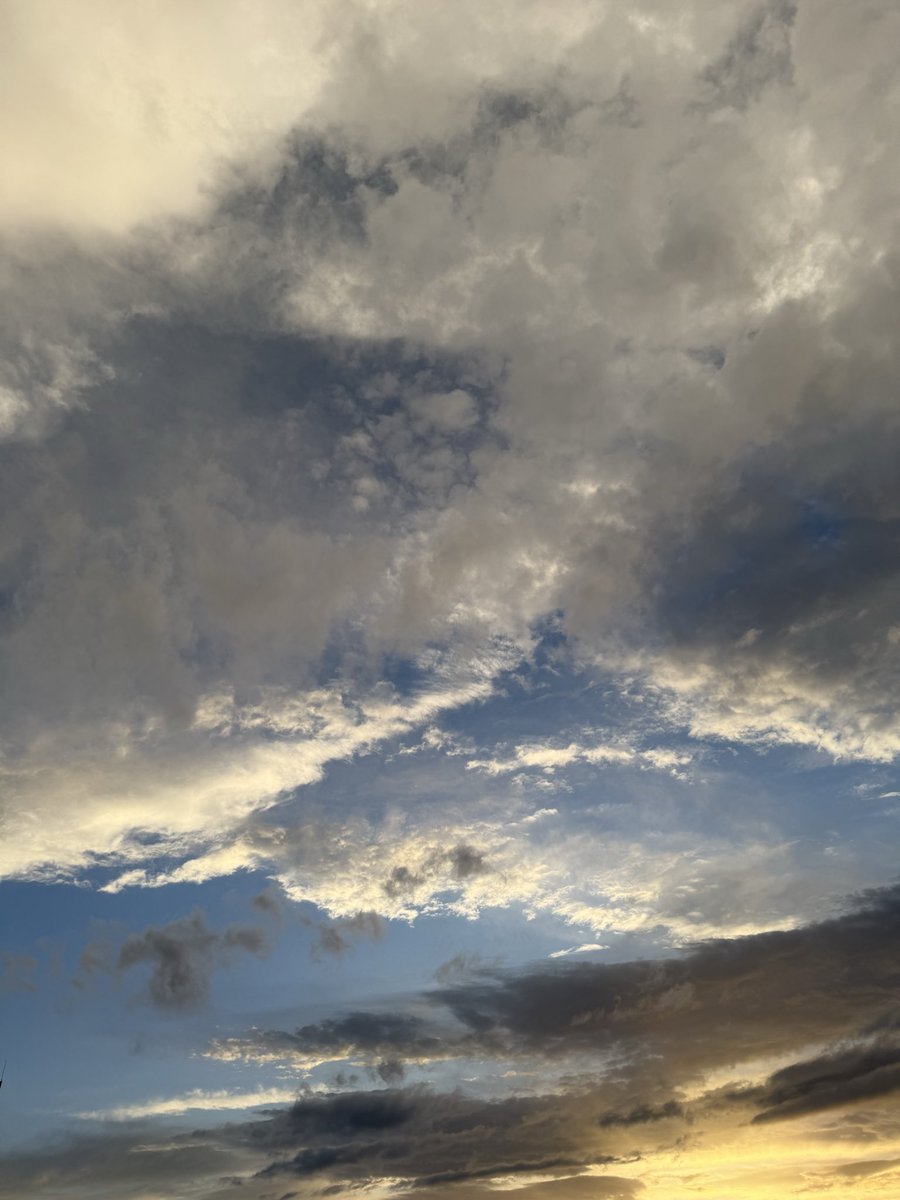 Samiah Alshamrani tweet media