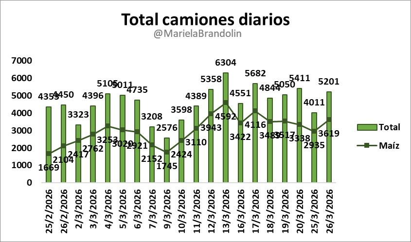 Mariela Brandolin tweet media