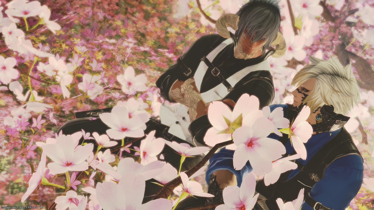 テクトス＠Fenrir tweet media