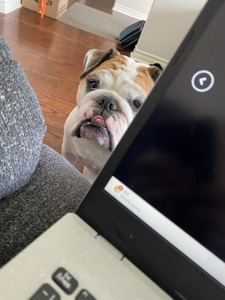 Mr. Truck tweet media