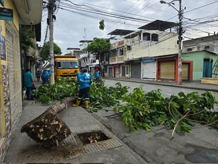 181 Responde tweet media