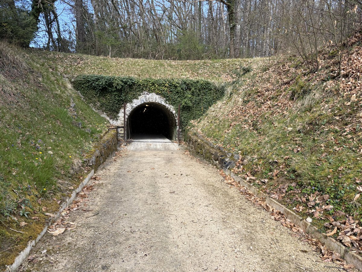 Thomas Ricouard tweet media