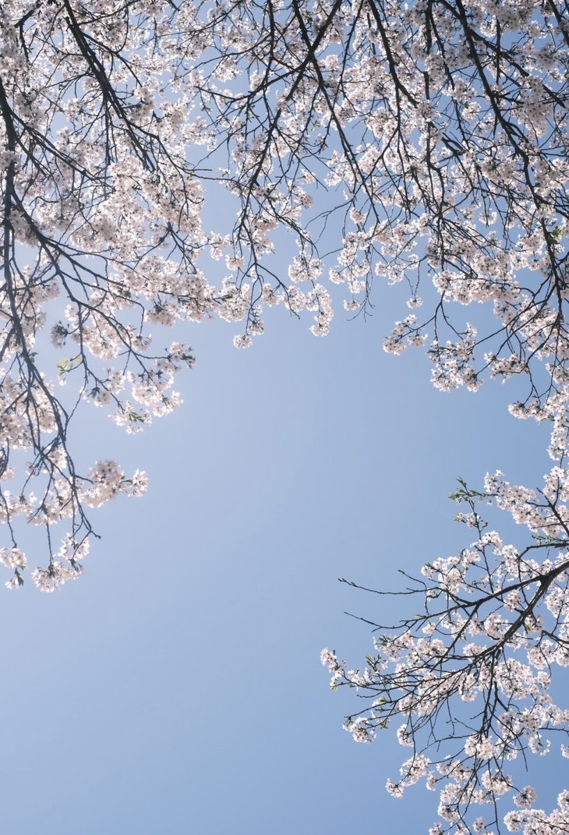 ぽりょうさん🗝🩵 tweet media