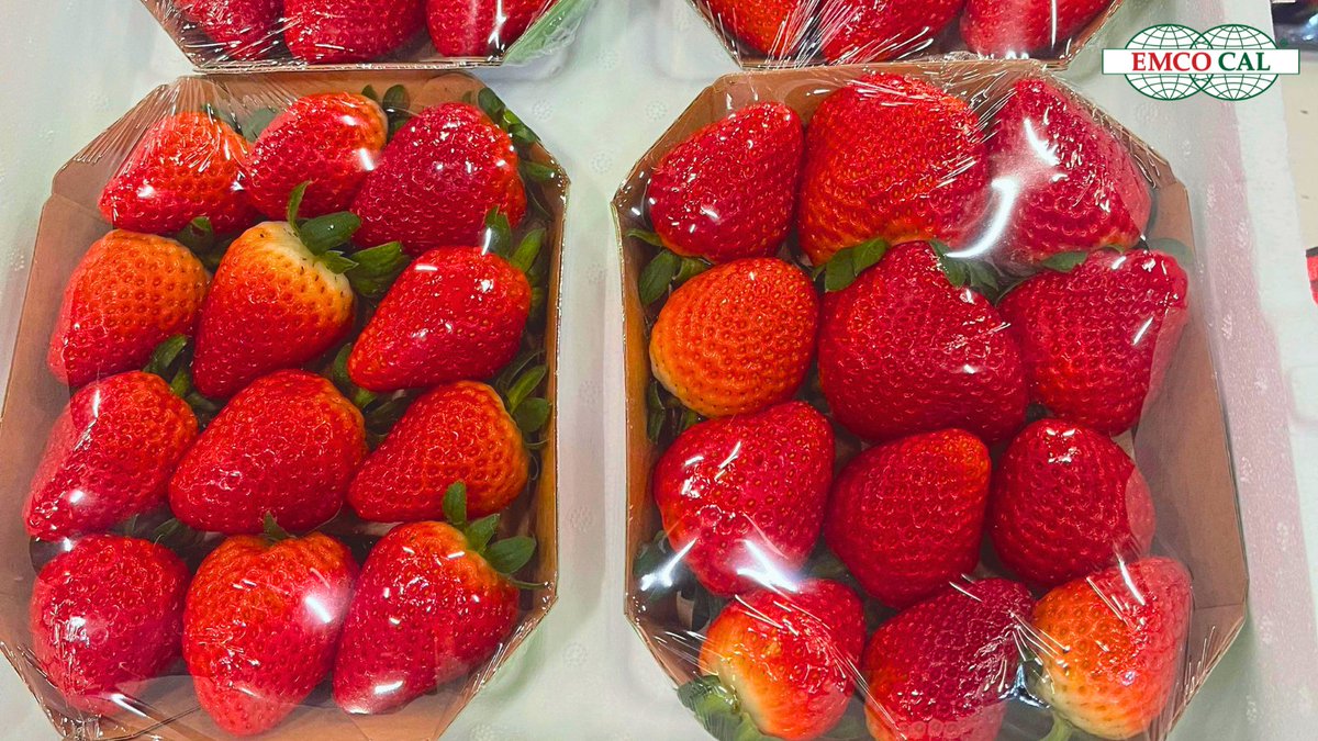 EMCO CAL tweet media