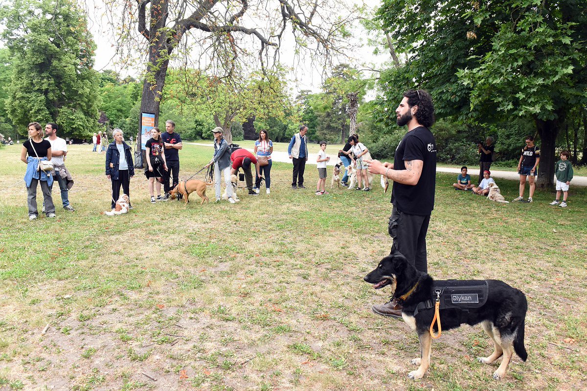 Ville_BoulogneB's tweet photo. 🐶 Profitez d'un cours d'éducation canine avec votre chien à Boulogne-Billancourt ! 🐶

Sous la guidance d'un éducateur canin qualifié, ces sessions proposées par la Ville offrent une occasion de renforcer les liens avec votre compagnon à quatre pattes tout en améliorant son éducation et sa sociabilisation 🐕 

Ne manquez pas cette opportunité de partager des moments avec votre chien dans un cadre convivial et naturel ! 🌳

📍 Parc Rothschild
✅ Gratuit 
📅 Samedi 28 mars de 10h - 12h

Inscription 👉 https://t.co/1PPKdue3rT

@BIJBB @OTBB92