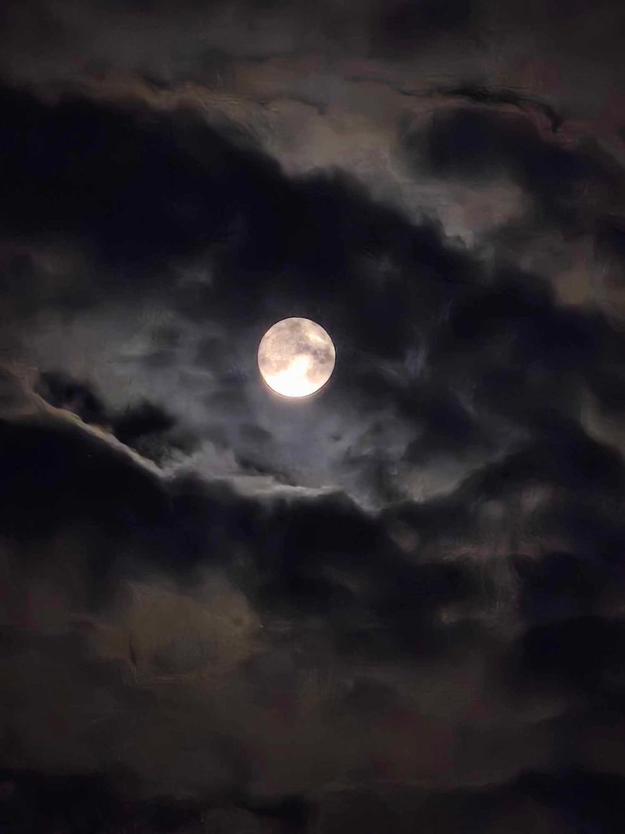 Fount of Knowledge 🗝 tweet media