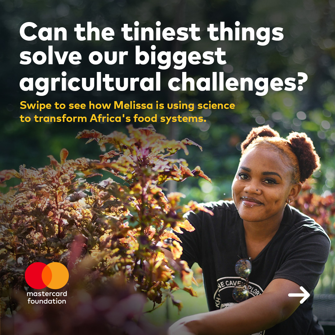 Mastercard Foundation tweet media