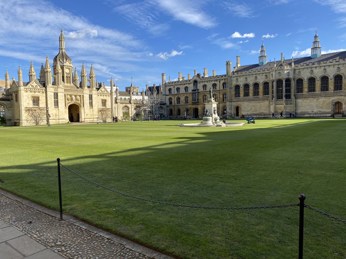 RAW EGG NATIONALIST tweet media