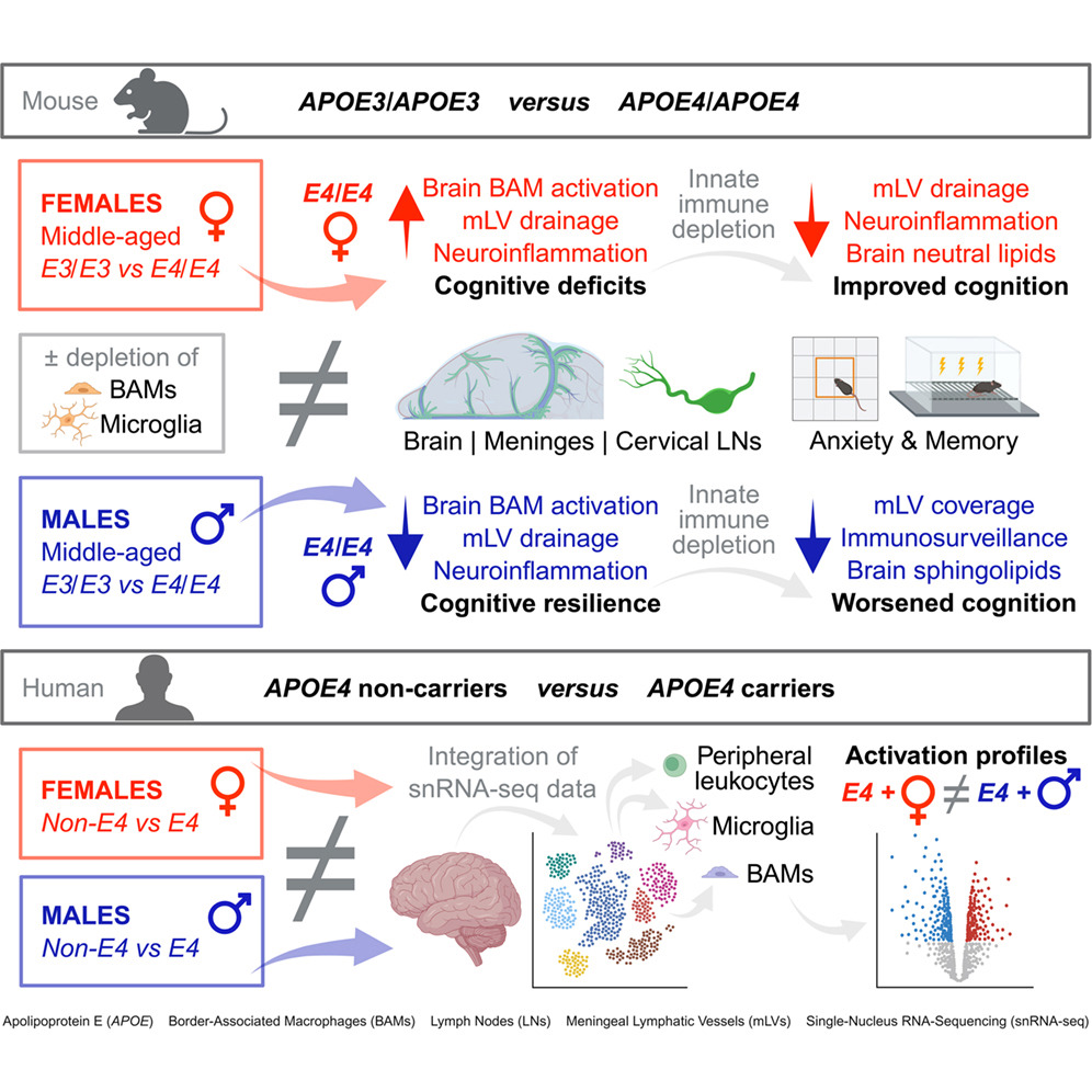 Eric Topol tweet media