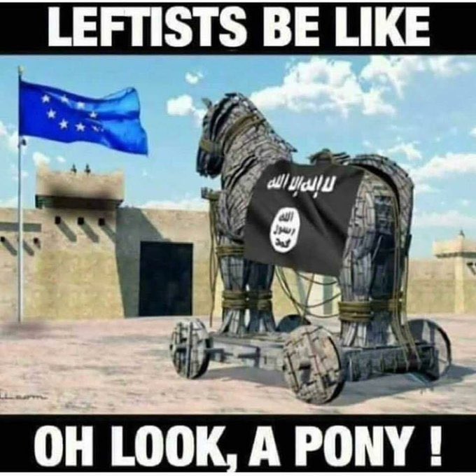 Alex ❎ tweet media