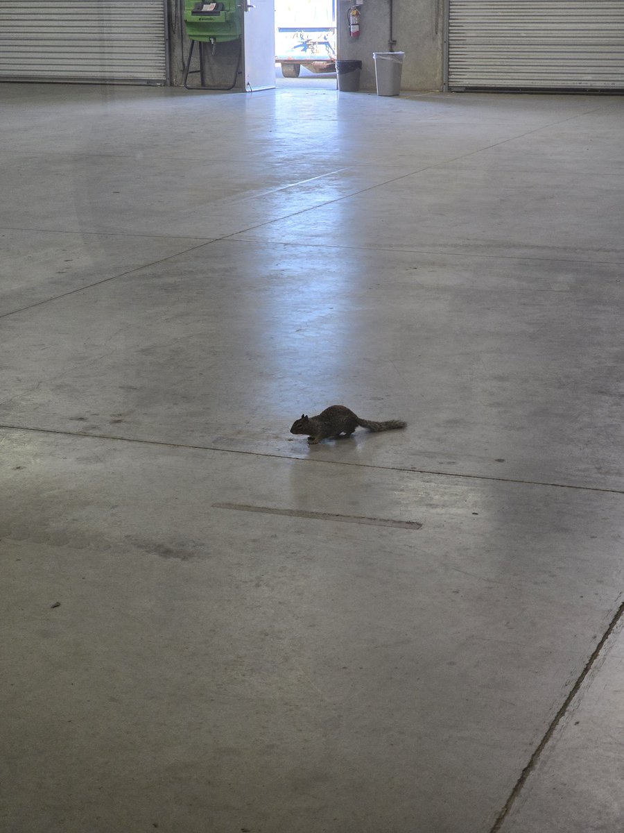 Abyssaltech tweet media