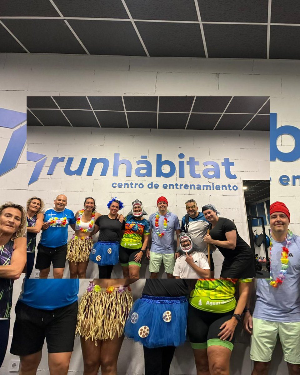 Runhábitat tweet media
