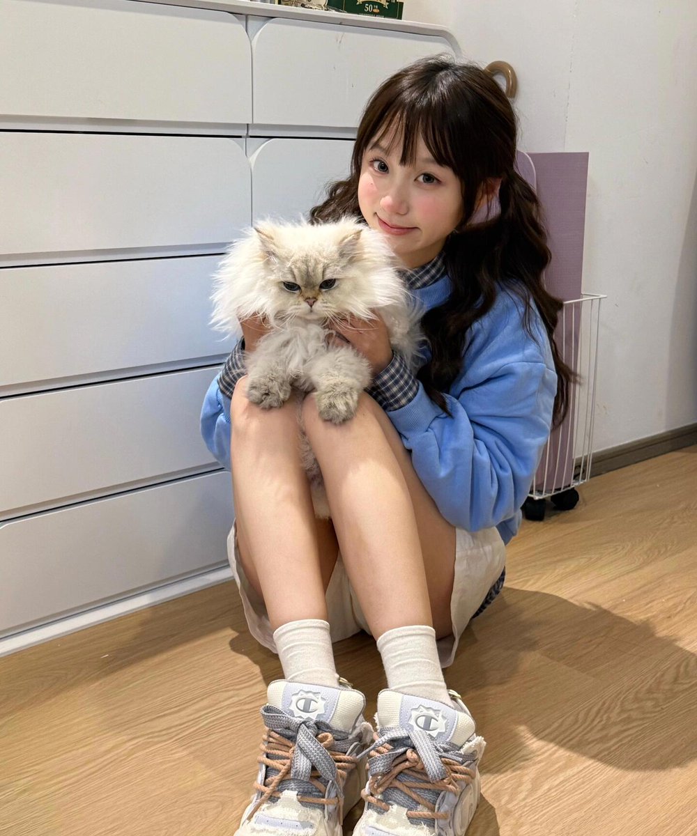 Asef Basılgan tweet media