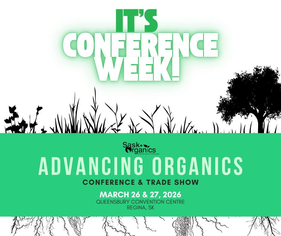 Pro-Cert tweet media