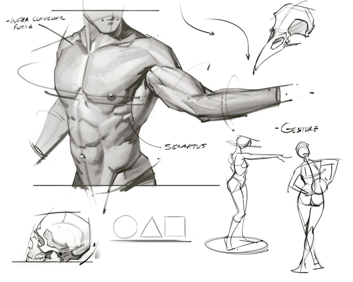 joshhunterblack tweet media