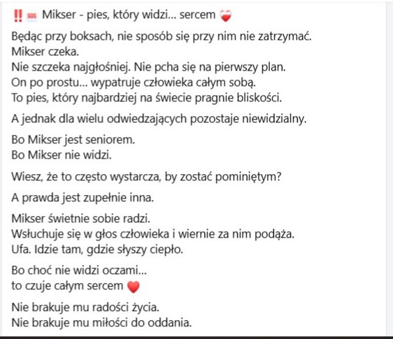 Robwalka Wolf tweet media