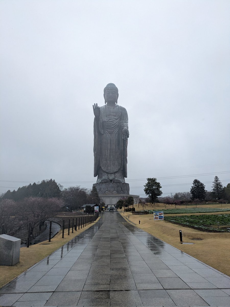 マダオ。 tweet media