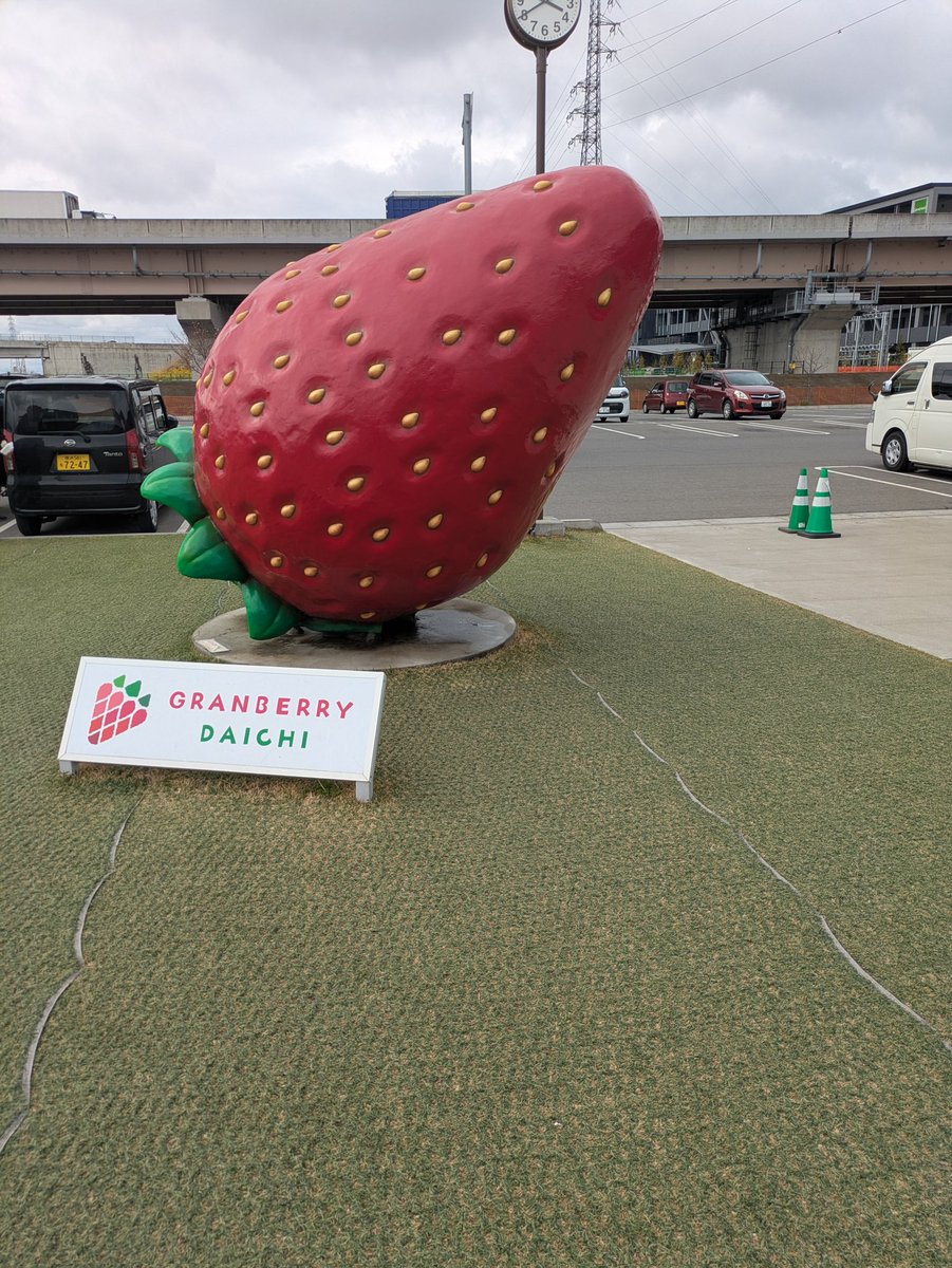 マダオ。 tweet media