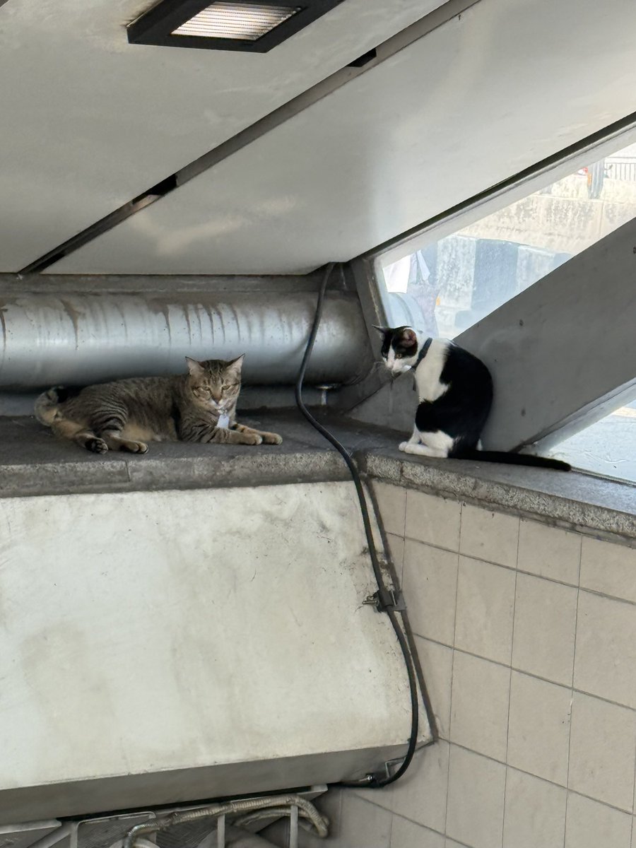 Sleepyhead 🫩 สาขา 2 tweet media