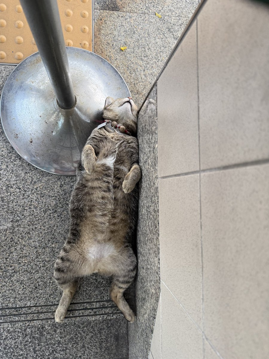 Sleepyhead 🫩 สาขา 2 tweet media