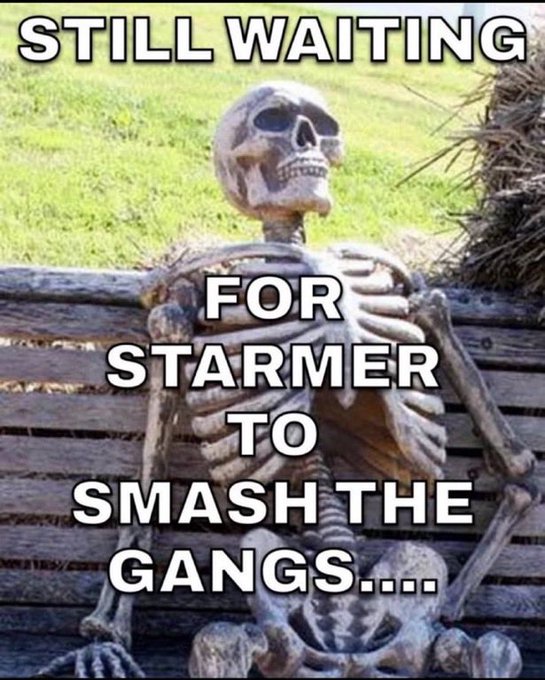 Formbook Racing tweet media