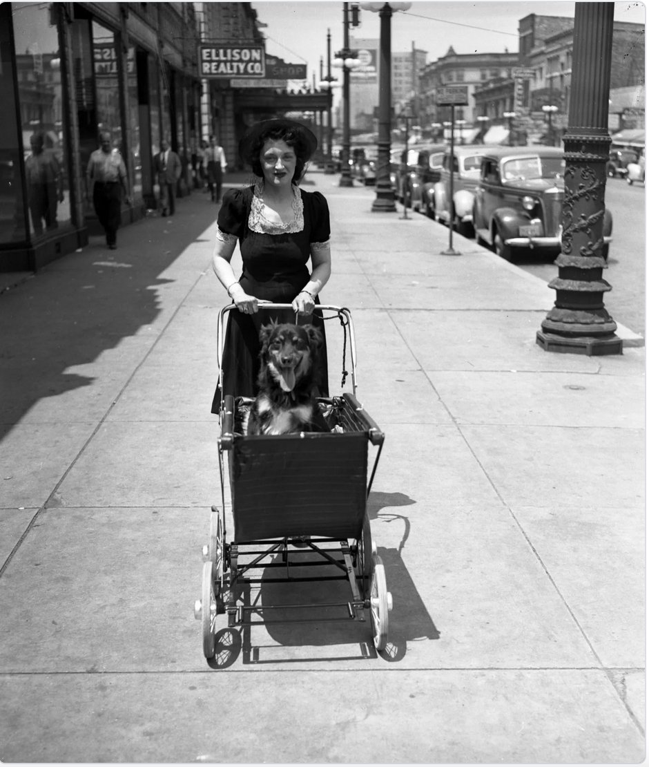 Rick Shimelplatzer tweet media