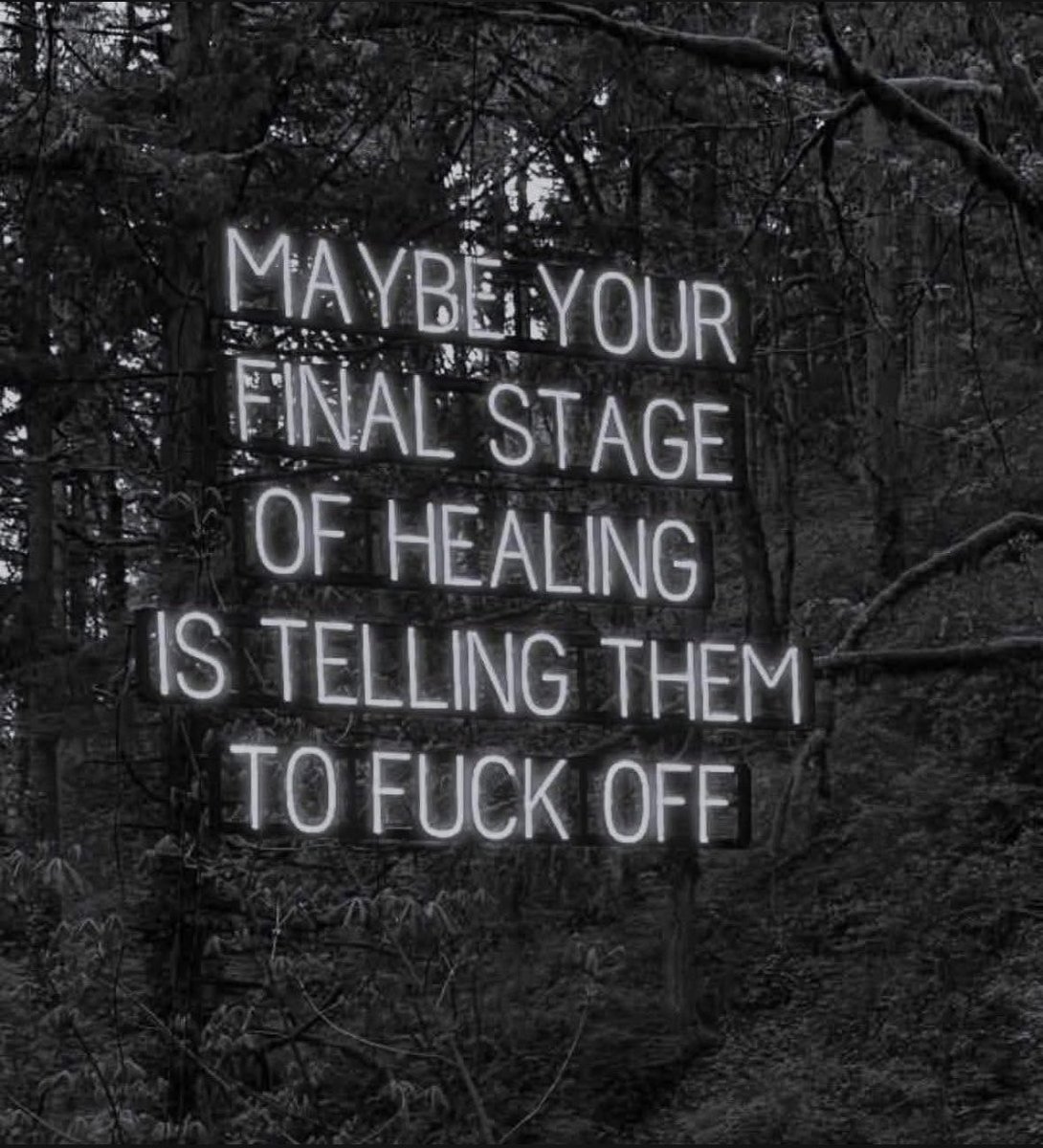 Glocke 🧡 tweet media