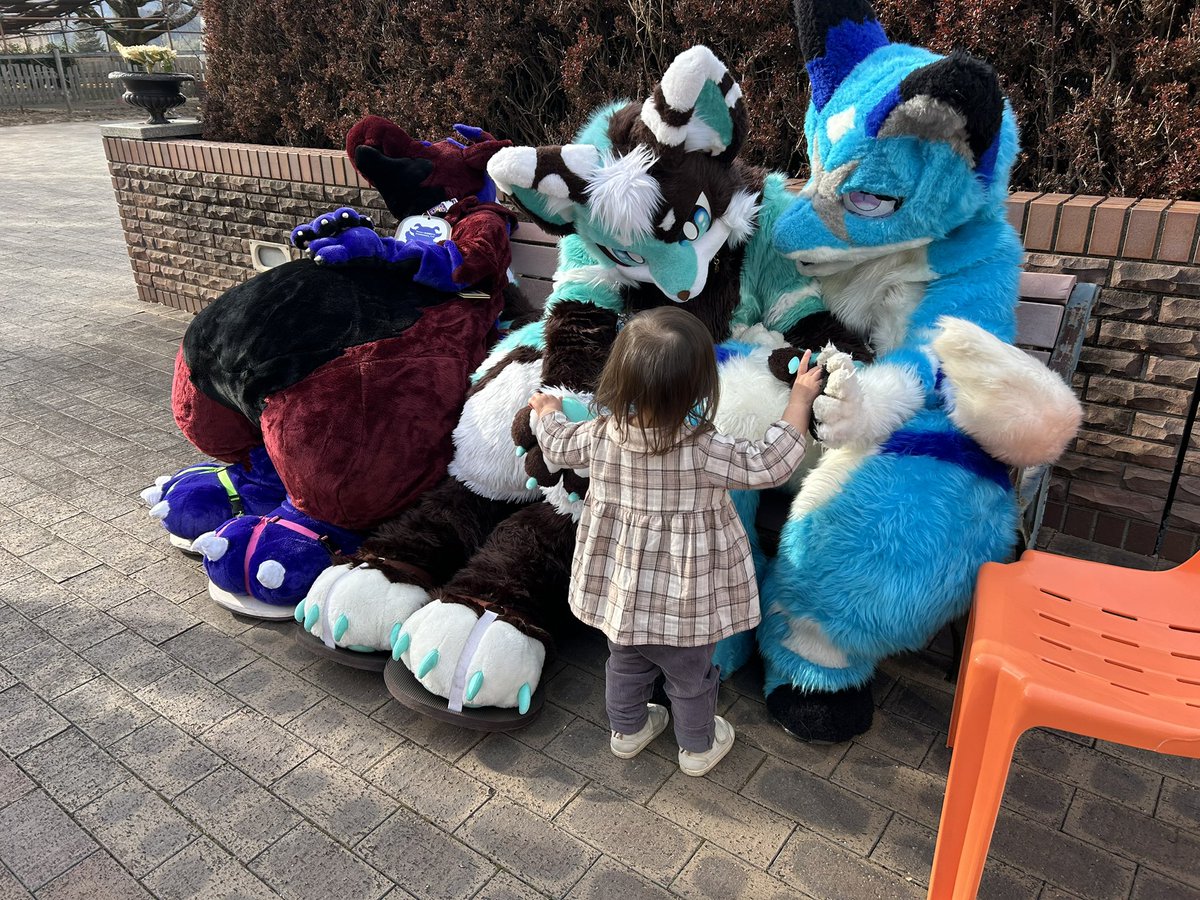 ハピ≡テラ ハンコ彫師 ⇒ ??? tweet media